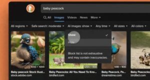 DuckDuckGo ahora permite esconder imágenes creadas con IA