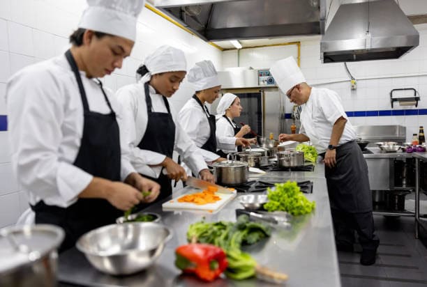 técnico en gastronomía o chef especializado