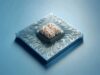 La IA vuelve a apostar por las CPU tras el cuello de botella de las GPU: hay ganadores claros y un gran perdedor Chips IA