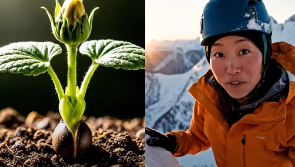 Google Veo 3 Generación de Vídeos Verticales con Inteligencia Artificial Google Veo 3: Generación de Vídeos Verticales con Inteligencia Artificial