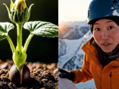 Google Veo 3: Generación de Vídeos Verticales con Inteligencia Artificial Google Veo 3: Generación de Vídeos Verticales con Inteligencia Artificial