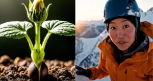 Google Veo 3: Generación de Vídeos Verticales con Inteligencia Artificial