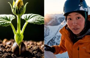 Google Veo 3: Generación de Vídeos Verticales con Inteligencia Artificial Google Veo 3: Generación de Vídeos Verticales con Inteligencia Artificial