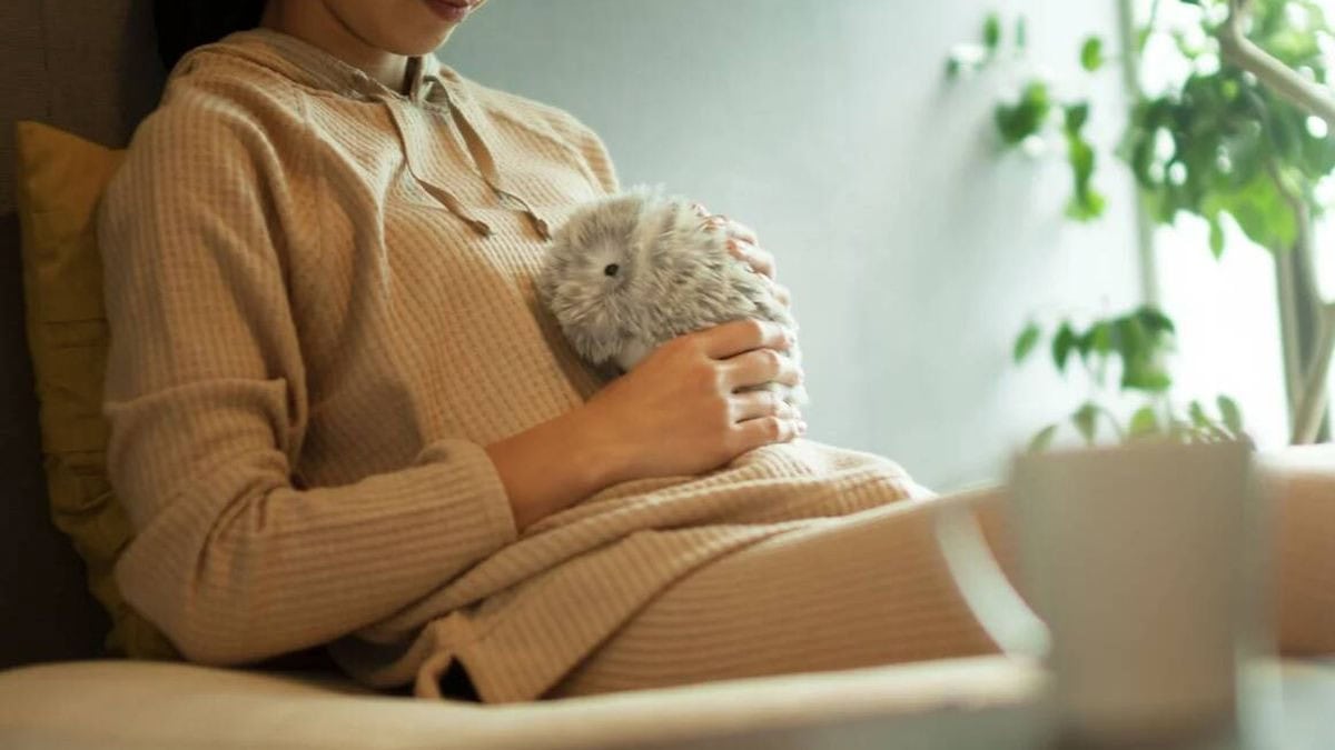 Experiencia Convivendo Un Mes Con Moflin, la Mascota IA de Casio: Opinión y Precio