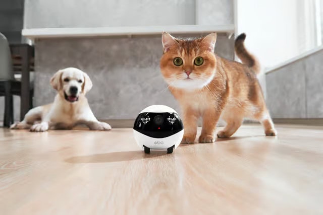 Enabot EBO Air 2 Plus