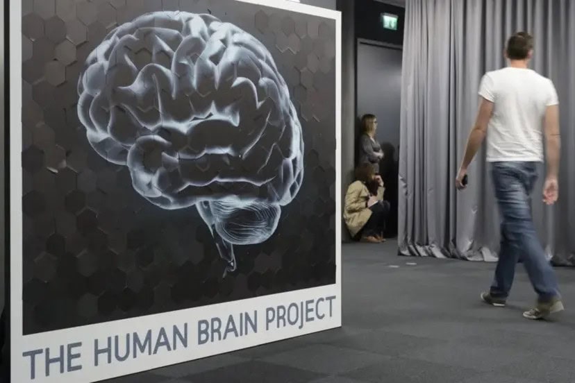 Cómo este modelo de tejido cerebral humano sintético puede cambiar la investigación de fármacos