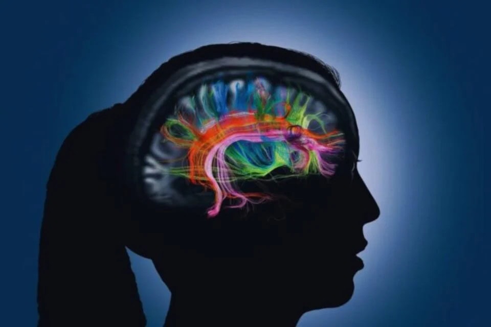 Un “interruptor” social: lo que la oxitocina revela