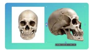 Adobe Integra en Photoshop una IA que Convierte Fotos en Objetos 3D para Editar Desde Cualquier Ángulo