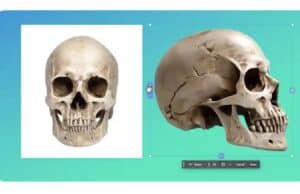 Adobe Integra en Photoshop una IA que Convierte Fotos en Objetos 3D para Editar Desde Cualquier Ángulo Adobe Integra en Photoshop una IA que Convierte Fotos en Objetos 3D para Editar Desde Cualquier Ángulo