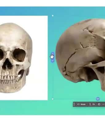 Adobe Integra en Photoshop una IA que Convierte Fotos en Objetos 3D para Editar Desde Cualquier Ángulo