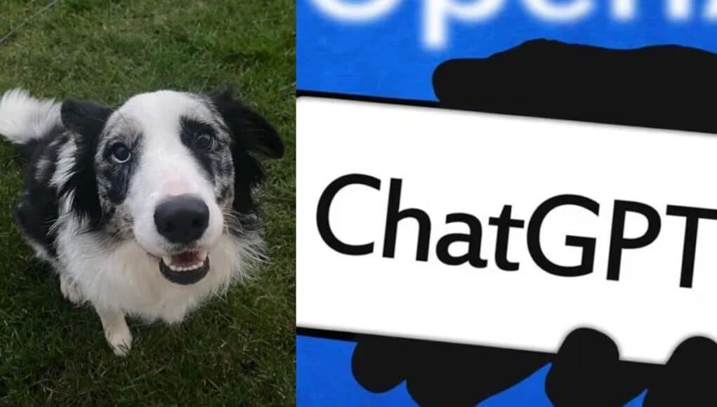 ChatGPT No Curó el Cáncer de un Perro, Qué Hay Detrás del Caso Viral ChatGPT No Curó el Cáncer de un Perro: Qué Hay Detrás del Caso Viral