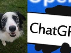 ChatGPT No Curó el Cáncer de un Perro: Qué Hay Detrás del Caso Viral ChatGPT No Curó el Cáncer de un Perro: Qué Hay Detrás del Caso Viral