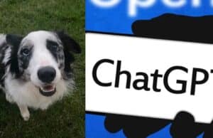 ChatGPT No Curó el Cáncer de un Perro: Qué Hay Detrás del Caso Viral