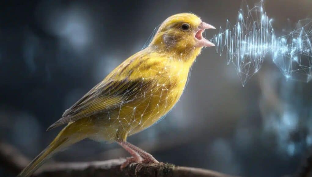 El Sistema TweetyBERT Que Analiza el Canto de Canarios y Revoluciona la Ciencia El Sistema TweetyBERT Que Analiza el Canto de Canarios y Revoluciona la Ciencia