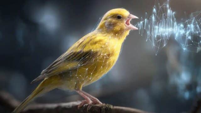 Una IA Cambia la Neurociencia: Entender a los Animales ya es Posible, Aunque Plantea una Duda Clave El Sistema TweetyBERT Que Analiza el Canto de Canarios y Revoluciona la Ciencia