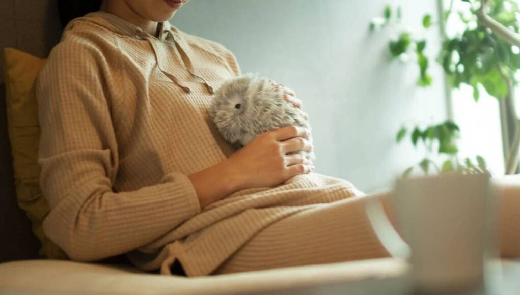 Experiencia-Convivendo-Un-Mes-Con-Moflin-la-Mascota-IA-de-Casio