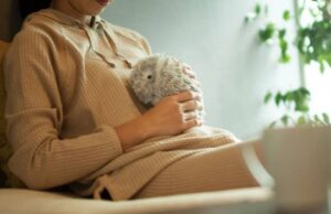 Experiencia Convivendo Un Mes Con Moflin, la Mascota IA de Casio: Opinión y Precio