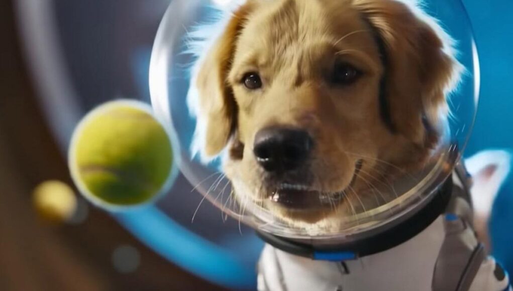 Novedades-en-ChatGPT-Perfiles-de-Usuario-y-Mensajeria-Directa-en-OpenAI