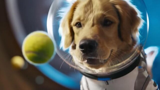 Novedades de OpenAI: Perfiles de Usuario y Mensajería Directa dentro de ChatGPT