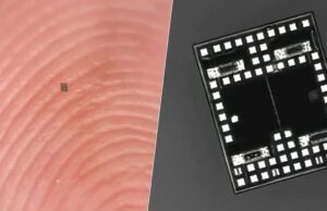 Penn y Michigan Crean un Robot Autónomo Microscópico con Cerebro Completo Integrado