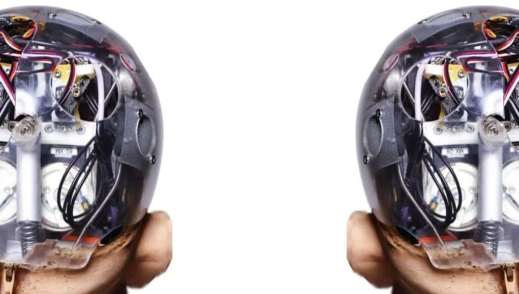 Universidad-de-Hong-Kong-Cuestiona-con-IA-Decadas-de-Estudios-Sobre-el-Miedo-en-Neurociencia