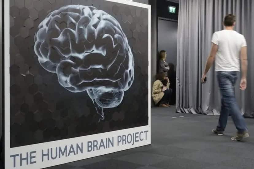 Cómo este modelo de tejido cerebral humano sintético puede cambiar la investigación de fármacos