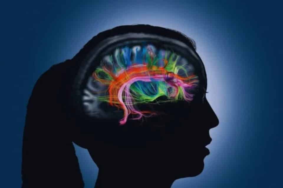 Un “interruptor” social: lo que la oxitocina revela