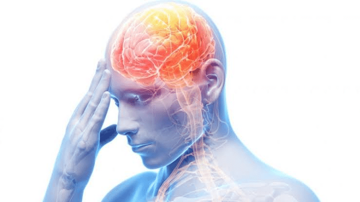 Neuroplasticidad, la capacidad del cerebro de adaptarse y redistribuir funciones.