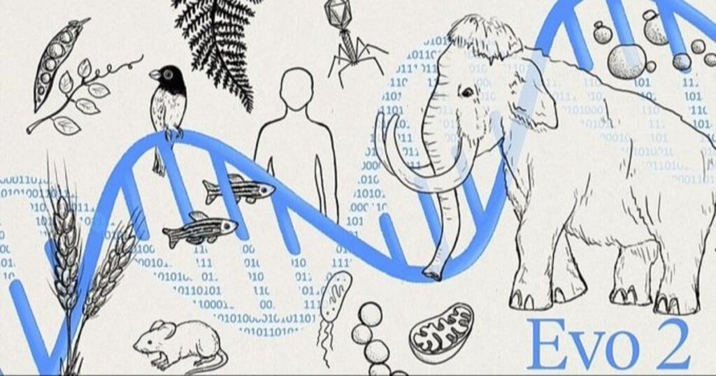 El salto real y el cuello de botella