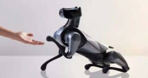 Perro Guía Robótico con IA Promete Mayor Seguridad y Autonomía al Caminar que los Caninos