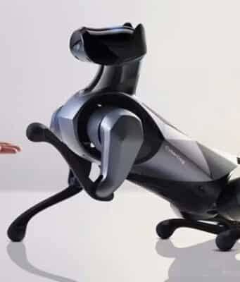 Perro Guía Robótico con IA Promete Mayor Seguridad y Autonomía al Caminar que los Caninos