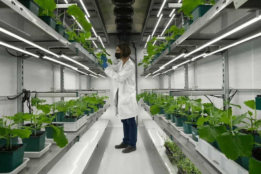 IA de agricultura pasa del campo al hogar