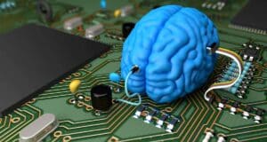 Estamos Creando Consciencia en el Laboratorio con Organoides Cerebrales