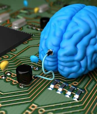 Estamos Creando Consciencia en el Laboratorio con Organoides Cerebrales