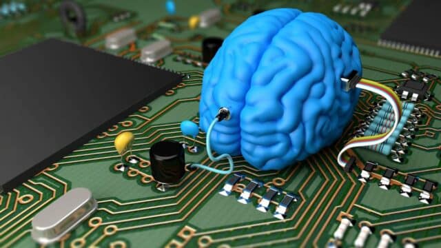 Estamos Creando Consciencia en el Laboratorio con Organoides Cerebrales