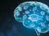 Nature Aging Publica una IA que Anticipa el Deterioro Cognitivo por Alzheimer usando Datos Básicos de Diagnóstico Nature Aging Publica una IA que Anticipa el Deterioro Cognitivo por Alzheimer usando Datos Básicos