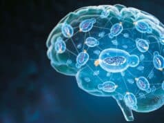 Nature Aging Publica una IA que Anticipa el Deterioro Cognitivo por Alzheimer usando Datos Básicos de Diagnóstico Nature Aging Publica una IA que Anticipa el Deterioro Cognitivo por Alzheimer usando Datos Básicos