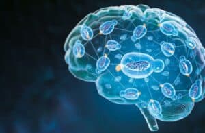 Nature Aging Publica una IA que Anticipa el Deterioro Cognitivo por Alzheimer usando Datos Básicos de Diagnóstico Nature Aging Publica una IA que Anticipa el Deterioro Cognitivo por Alzheimer usando Datos Básicos