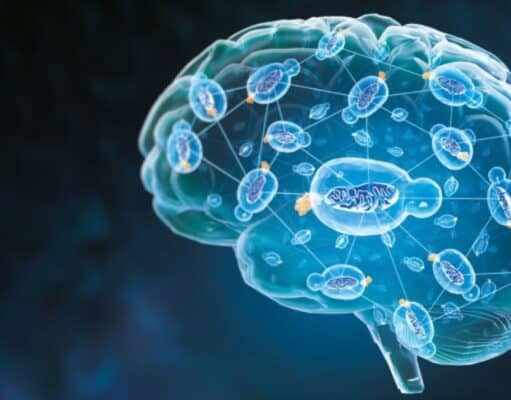 Nature Aging Publica una IA que Anticipa el Deterioro Cognitivo por Alzheimer usando Datos Básicos de Diagnóstico Nature Aging Publica una IA que Anticipa el Deterioro Cognitivo por Alzheimer usando Datos Básicos