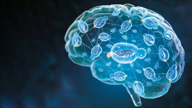 Nature Aging Publica una IA que Anticipa el Deterioro Cognitivo por Alzheimer usando Datos Básicos de Diagnóstico Nature Aging Publica una IA que Anticipa el Deterioro Cognitivo por Alzheimer usando Datos Básicos