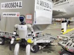 Robots Humanoides en Japón: la Respuesta a la Baja Natalidad y el Turismo Robots Humanoides en Japón: la Respuesta a la Baja Natalidad y el Turismo
