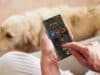 La IA de Samsung Analiza Fotos de Perros y Detecta Problemas de Salud con un 97 % de Precisión La IA de Samsung Analiza Fotos de Perros y Detecta Problemas de Salud con un 97 % de Precisión