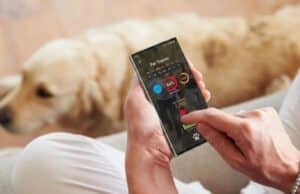 La IA de Samsung Analiza Fotos de Perros y Detecta Problemas de Salud con un 97 % de Precisión La IA de Samsung Analiza Fotos de Perros y Detecta Problemas de Salud con un 97 % de Precisión