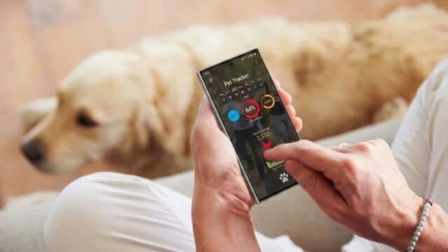 La IA de Samsung Analiza Fotos de Perros y Detecta Problemas de Salud con un 97 % de Precisión