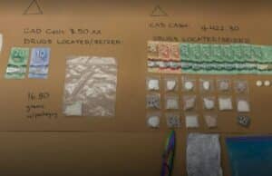 Un Policía de Vancouver Fue Atrapado por Falsificar una Prueba Utilizando IA Un Policía de Vancouver Fue Atrapado por Falsificar una Prueba Utilizando IA