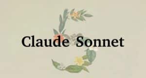 Anthropic Lanza Claude Sonnet 5, Casi Mejor que Opus 4.8 Pero Mucho Más Económica