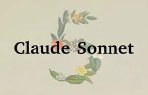 Anthropic Lanza Claude Sonnet 5, Casi Mejor que Opus 4.8 Pero Mucho Más Económica Anthropic Lanza Claude Sonnet 5, Casi Mejor que Opus 4.8 Pero Mucho Más Económica
