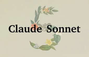 Anthropic Lanza Claude Sonnet 5, Casi Mejor que Opus 4.8 Pero Mucho Más Económica Anthropic Lanza Claude Sonnet 5, Casi Mejor que Opus 4.8 Pero Mucho Más Económica