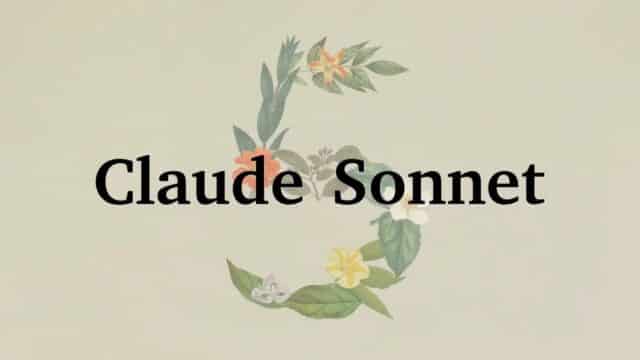 Anthropic Lanza Claude Sonnet 5, Casi Mejor que Opus 4.8 Pero Mucho Más Económica Anthropic Lanza Claude Sonnet 5, Casi Mejor que Opus 4.8 Pero Mucho Más Económica