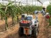 Dos Jóvenes Desafían a la Robótica Agrícola con una IA de Bajo Coste Dos Jóvenes Desafían a la Robótica Agrícola con una IA de Bajo Coste